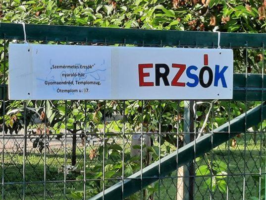 Villa Szemermetes Erzsok Nyaralohaz Gyomaendrőd Exterior foto