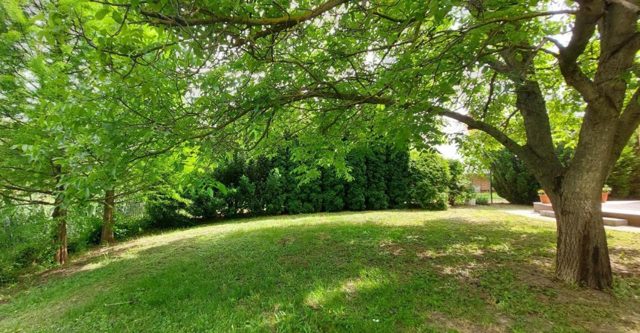 Villa Szemermetes Erzsok Nyaralohaz Gyomaendrőd Exterior foto